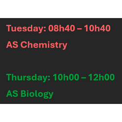 webinar image